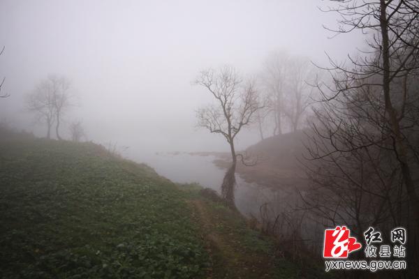 【刘浴辉摄影】水墨莲塘坳