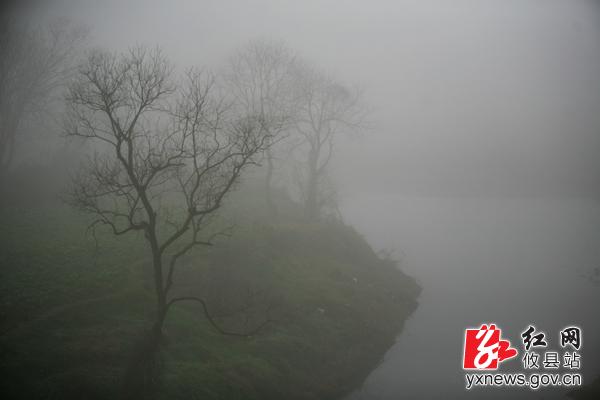 【刘浴辉摄影】水墨莲塘坳