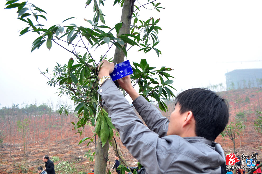 同栽幸福树 共建文明城