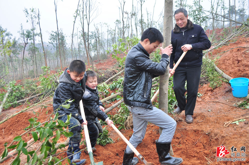 同栽幸福树 共建文明城