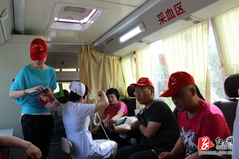 志愿者服务活动 无偿献血显文明