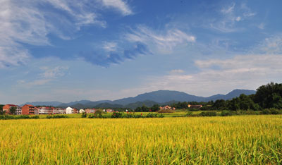 【丁湖摄影】莲塘坳秋景