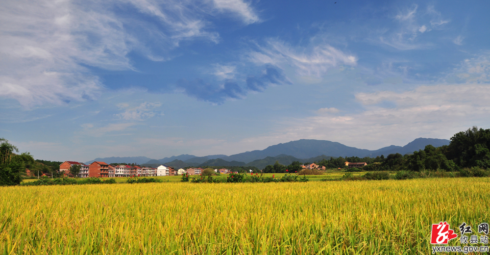 【丁湖摄影】莲塘坳秋景