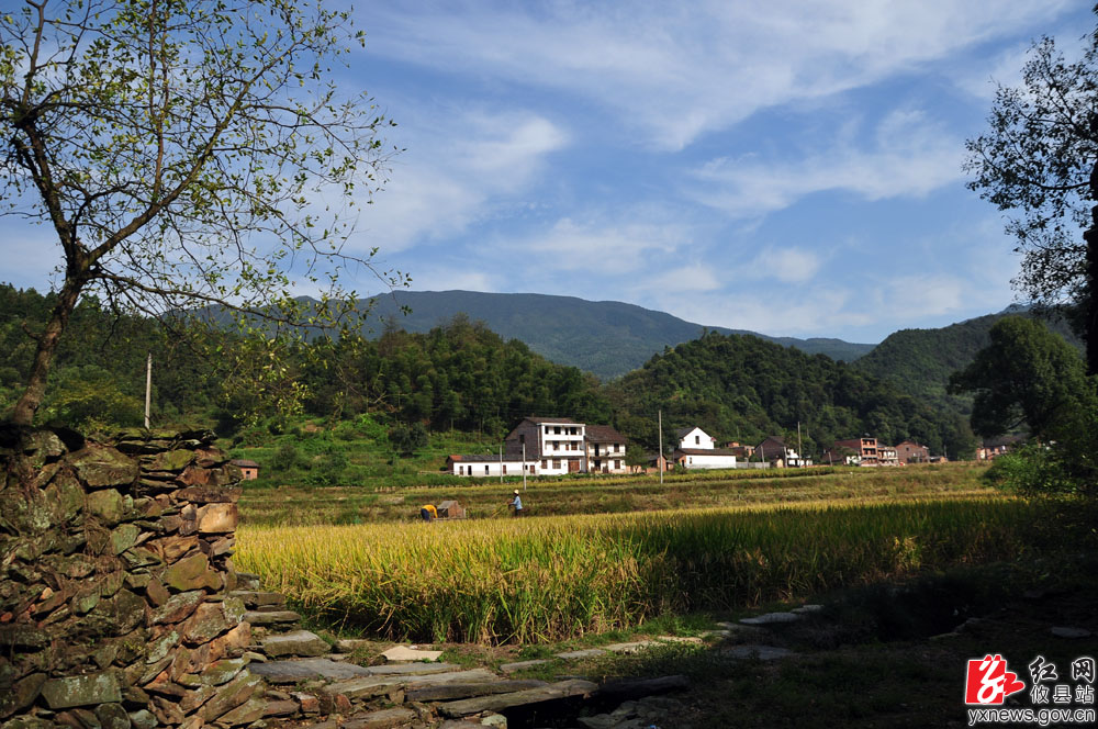 【丁湖摄影】莲塘坳秋景