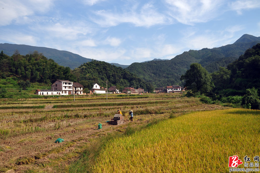 【丁湖摄影】莲塘坳秋景