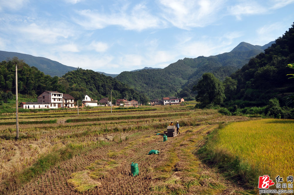 【丁湖摄影】莲塘坳秋景