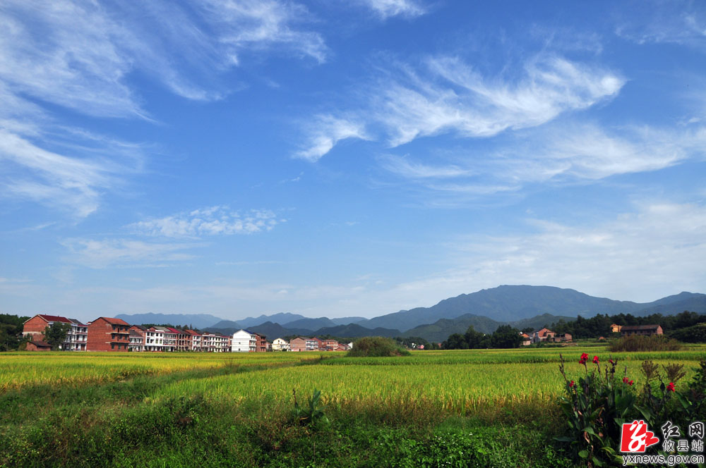 【丁湖摄影】莲塘坳秋景