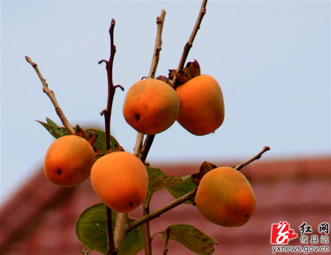 【陈轶锋摄影】秋探洞穴花里岩，喜看金水绕银坑