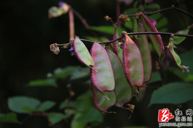 【陈轶锋摄影】秋探洞穴花里岩，喜看金水绕银坑