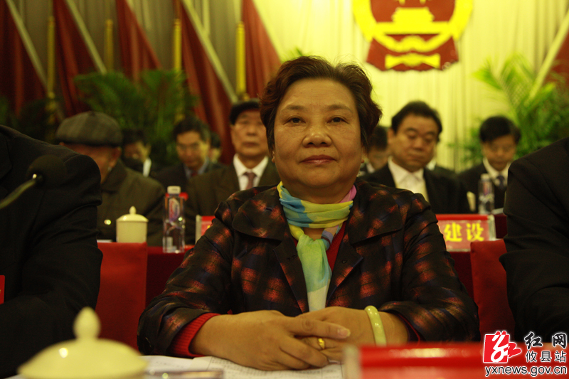 攸县第十六届人民代表大会第一次会议隆重开幕