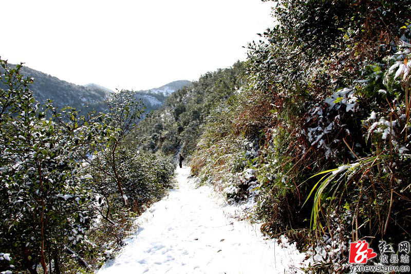 【陈轶锋摄影】风雪明月仙