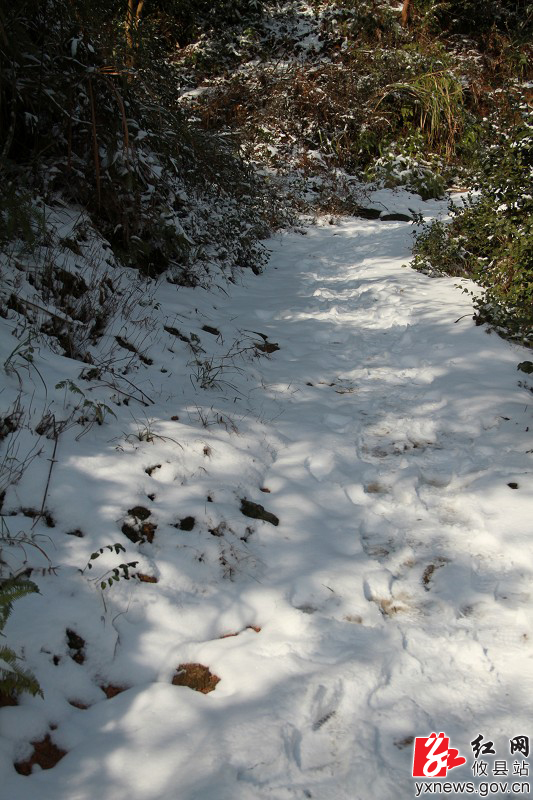 【陈轶锋摄影】风雪明月仙
