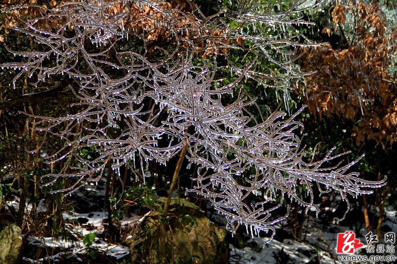【陈轶锋摄影】风雪明月仙