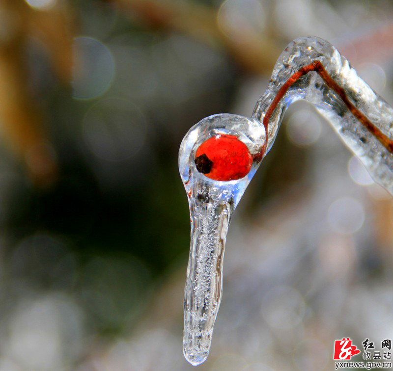 【陈轶锋摄影】风雪明月仙