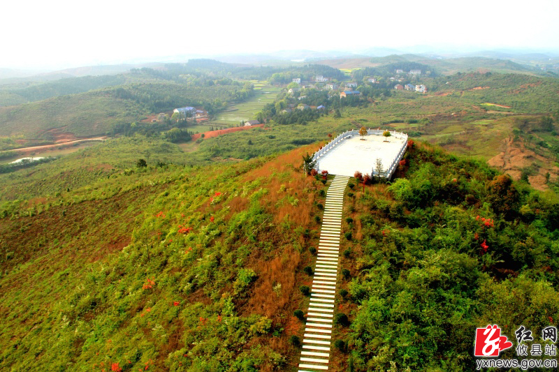 【陈轶锋摄影】马鞍山上杜鹃红