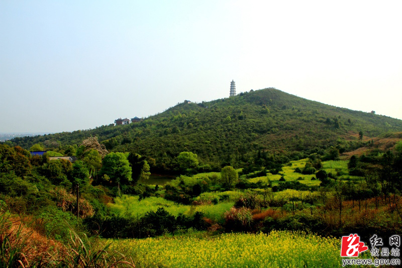 【陈轶锋摄影】马鞍山上杜鹃红