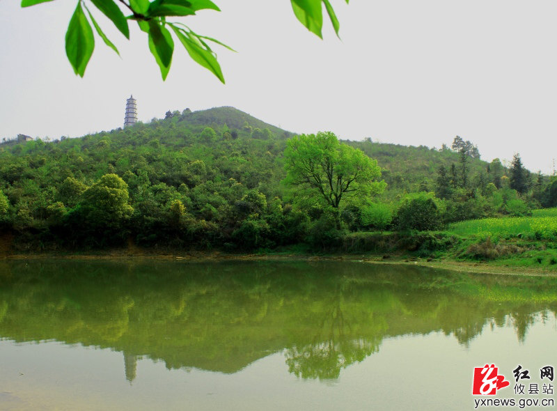 【陈轶锋摄影】马鞍山上杜鹃红