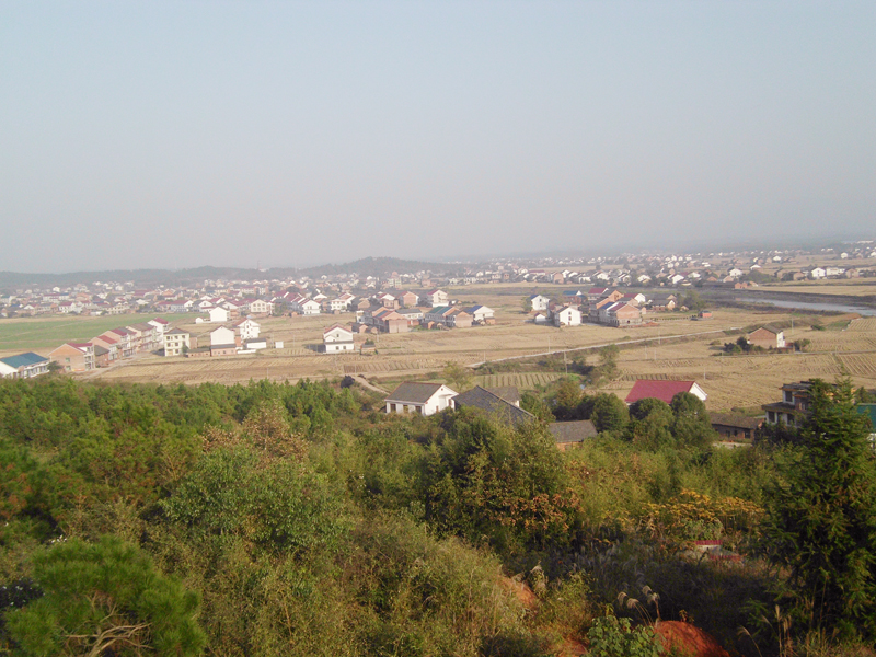 大同桥乡村远景
