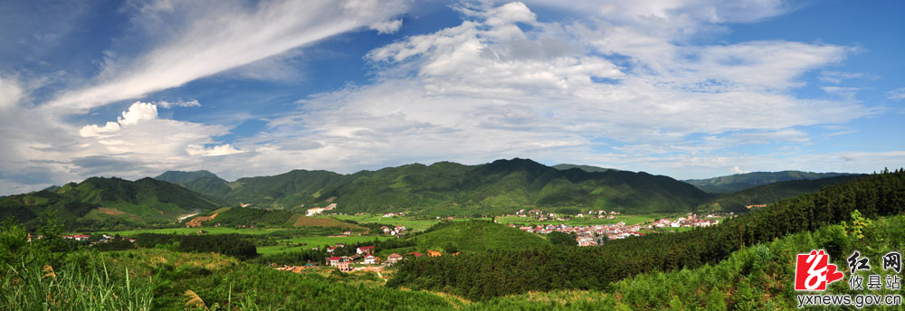【丁湖摄影】绿色柏市