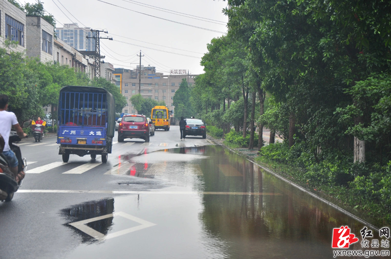 【陈轶锋摄影】暴雨过后