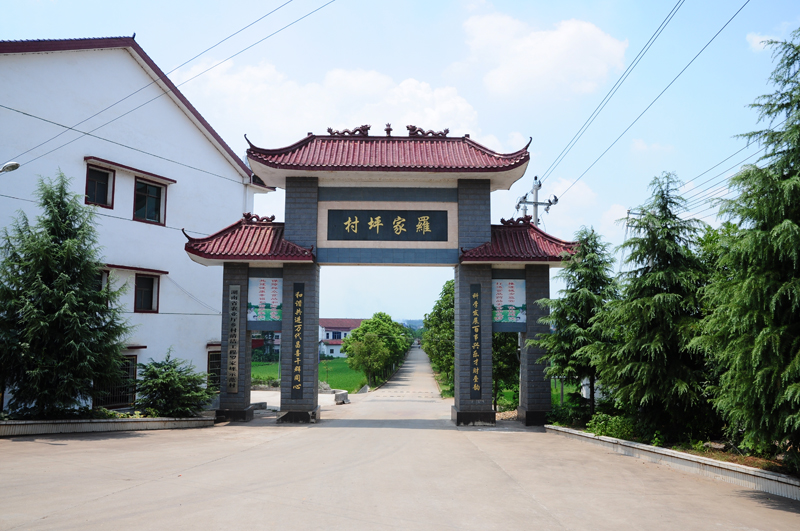 镇容村貌