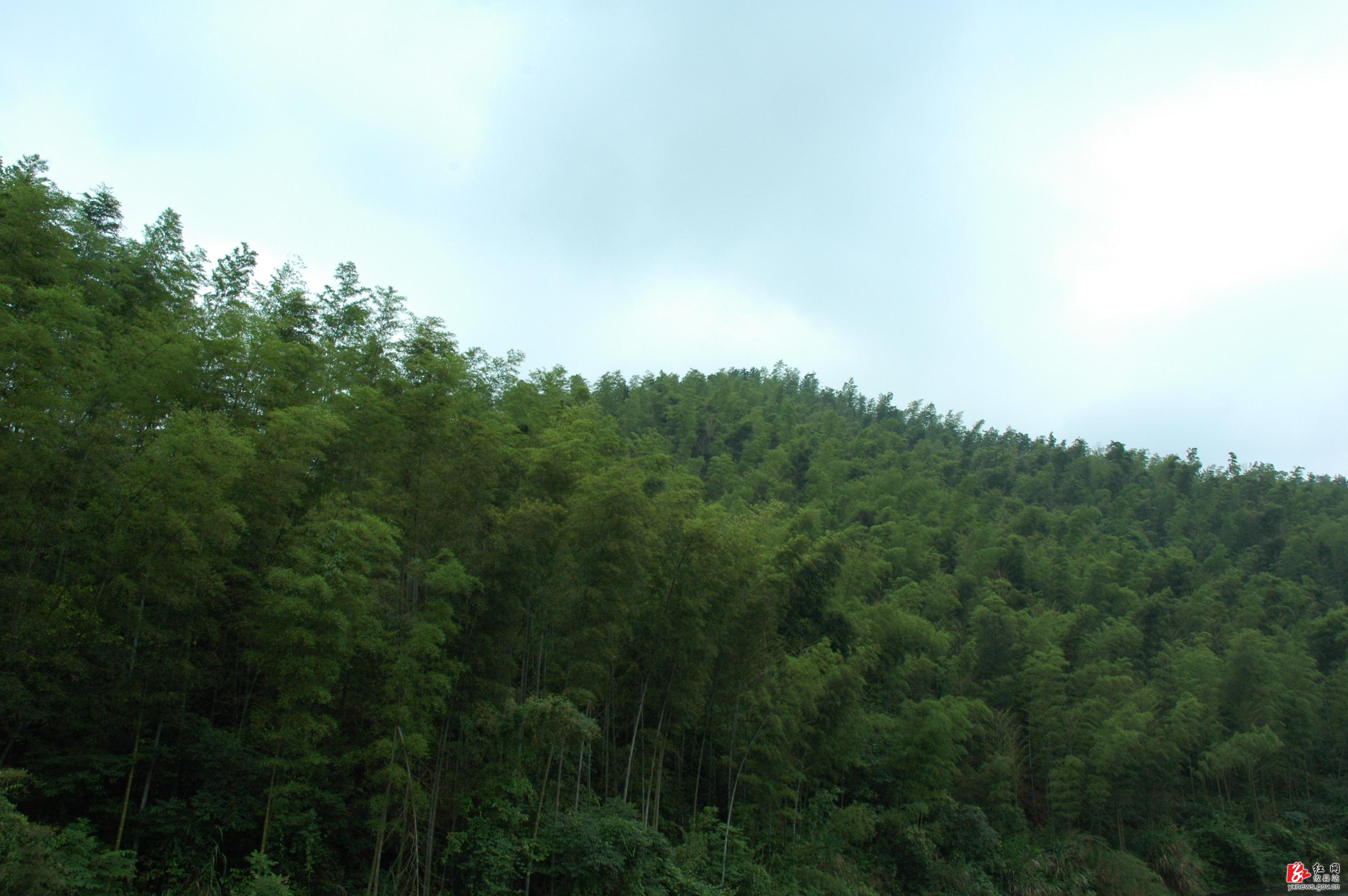 莲塘坳