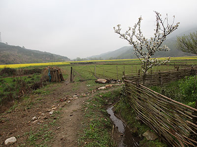 “攸县就是个好地方”摄影大赛作品展示：《后园》