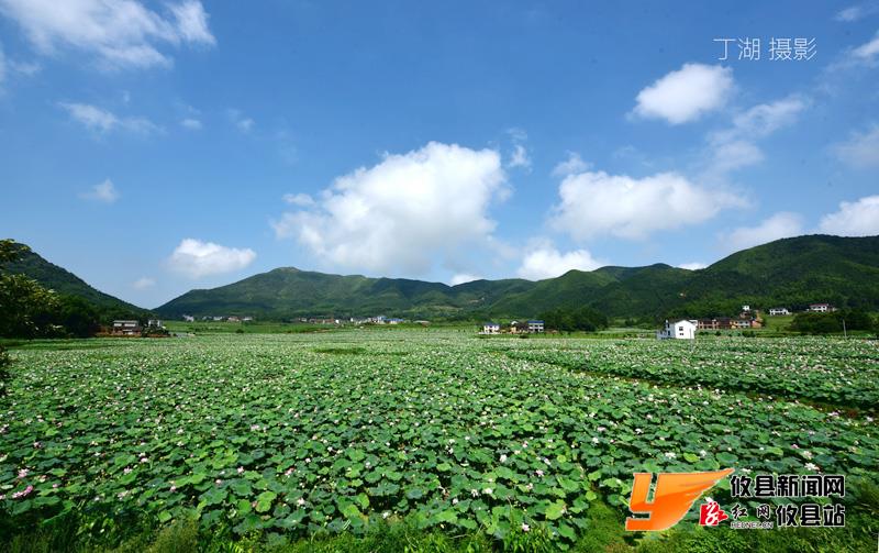 【丁湖摄影】