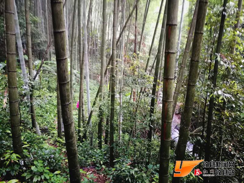 攸州秘境鸾山镇：八福垅峡谷