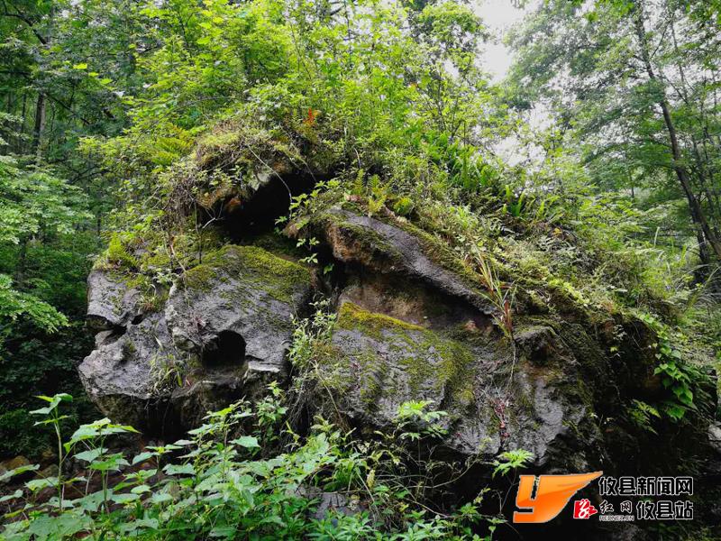 攸州秘境鸾山镇：八福垅峡谷