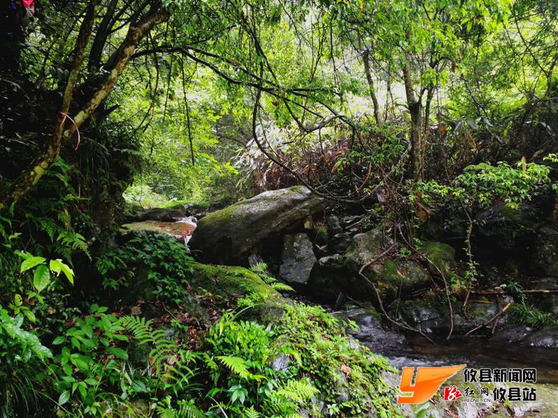 攸州秘境鸾山镇：八福垅峡谷