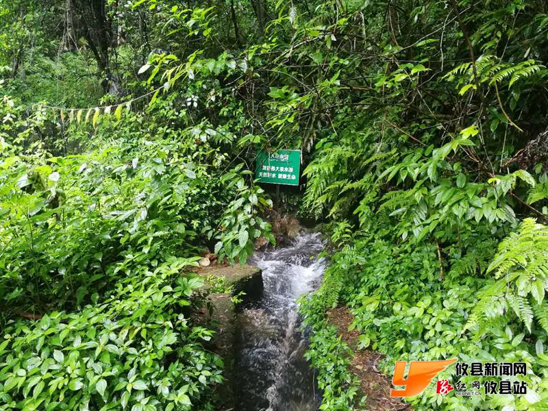 攸州秘境鸾山镇：八福垅峡谷