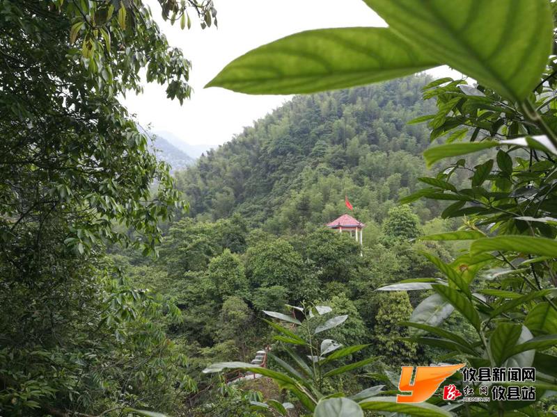 攸州秘境：鸾山镇南岸村：“二龙抢珠”