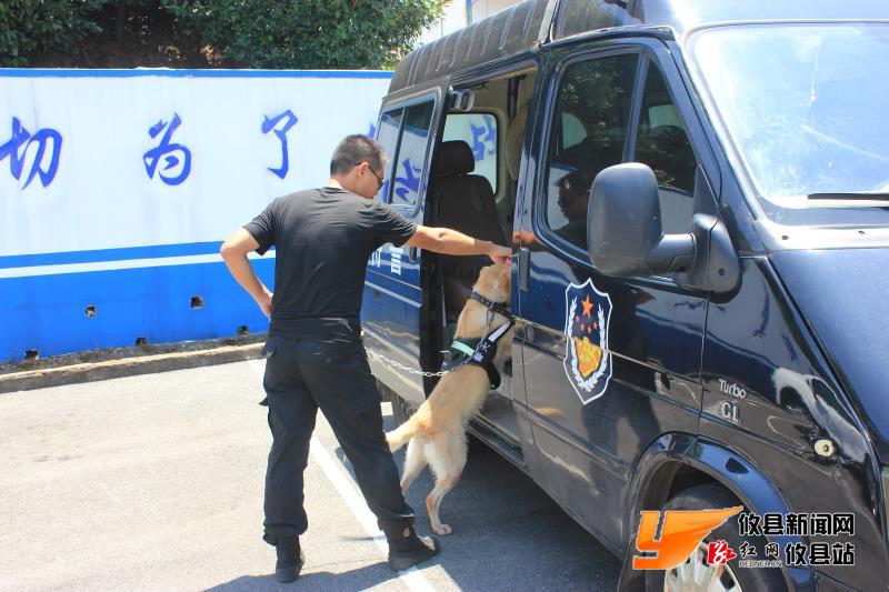 攸县警犬F4 抓贼炫酷呆萌样样行