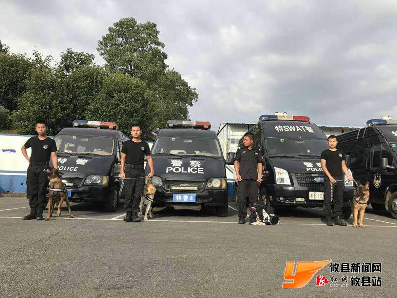 攸县警犬F4 抓贼炫酷呆萌样样行