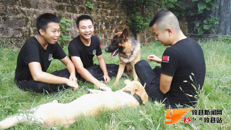 攸县警犬F4 抓贼炫酷呆萌样样行