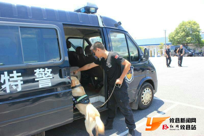 攸县警犬F4 抓贼炫酷呆萌样样行