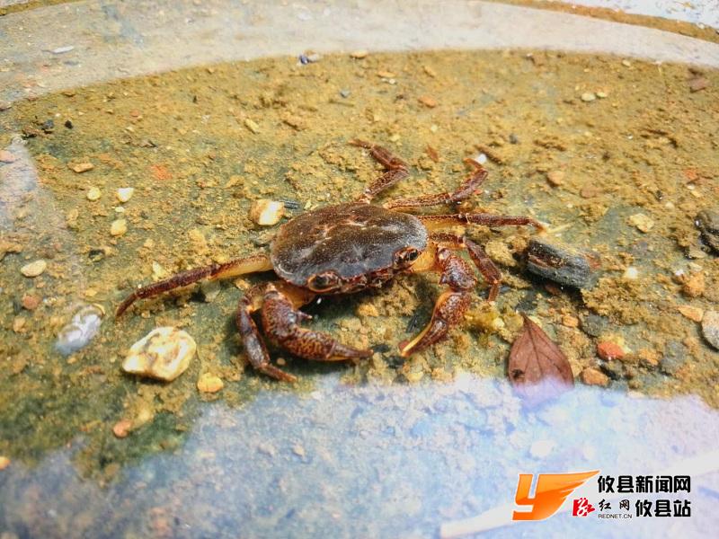 攸州秘境：莲塘坳镇——千臼峡