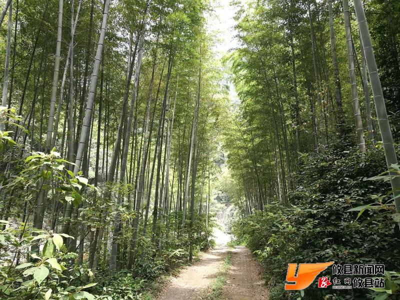 攸州秘境：莲塘坳镇——千臼峡