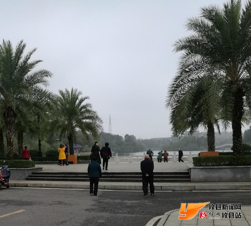 冬雾朦胧游人醉 落叶金枫别深秋