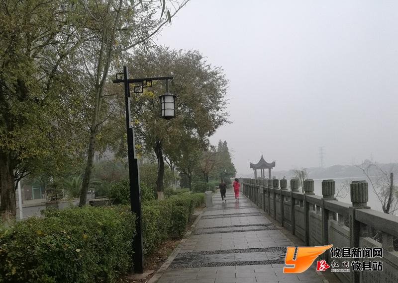 冬雾朦胧游人醉 落叶金枫别深秋