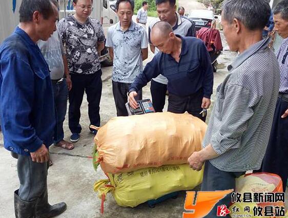 丫江桥镇：“1+3”模式 打出脱贫特色牌