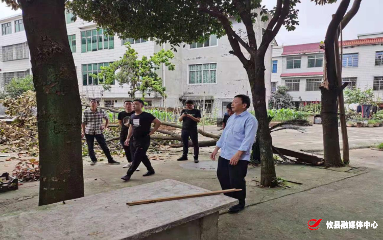 【攸县党旗下的新时代文明实践：我为群众办实事】联星街道富康社区：大树倒塌路中央 社区出动除隐患