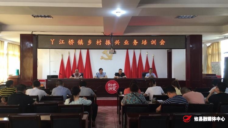 丫江桥镇举办乡村振兴业务培训会