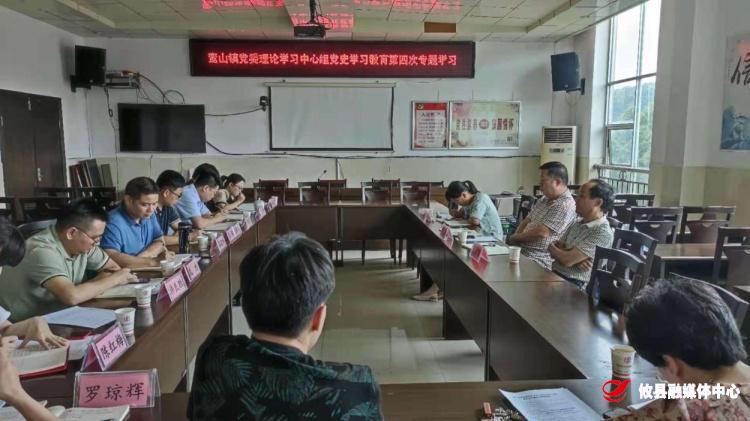 【学党史 开新局】鸾山镇开展党史学习教育第四次专题学习