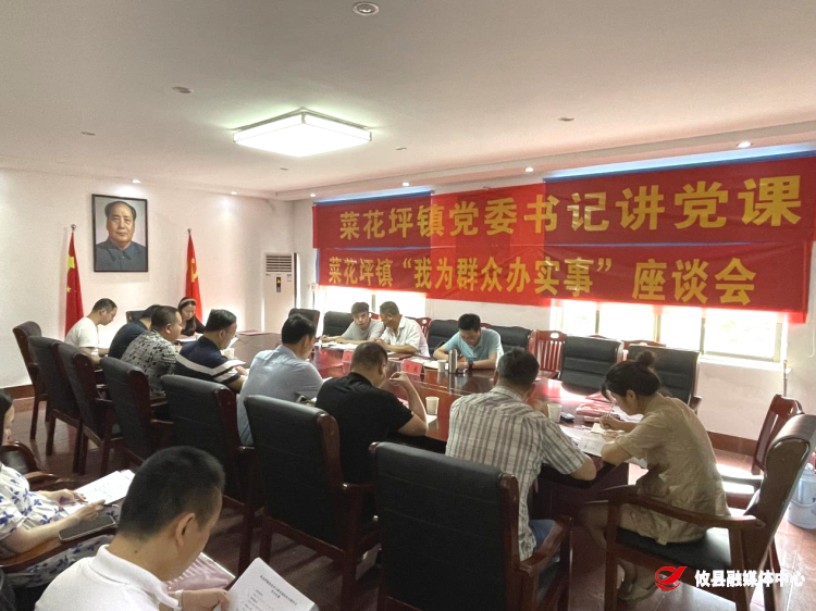 【学党史 开新局】菜花坪镇开展党史学习教育第四次专题学习