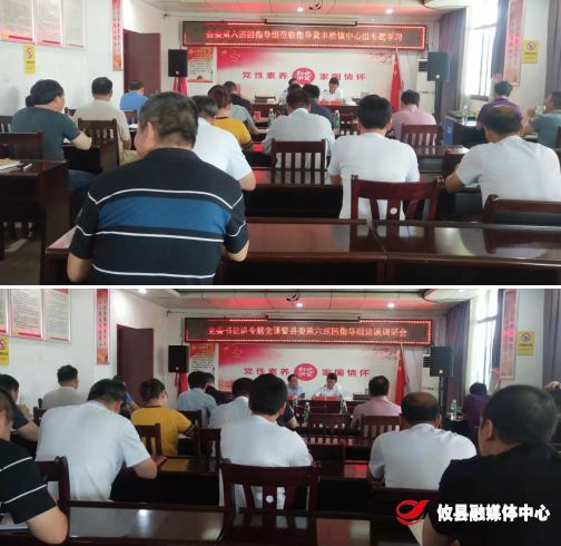 县委党史学习教育第六巡回指导组深入黄丰桥镇开展党史学习教育第二轮巡回指导