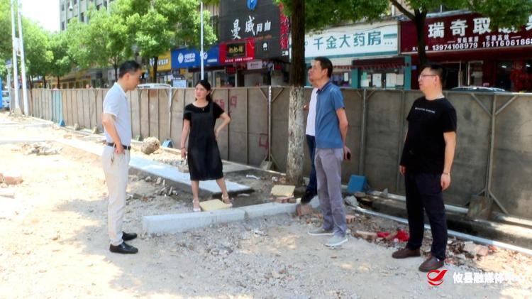 县委党史学习教育第四巡回指导组深入县城管局项目建设现场开展巡回指导