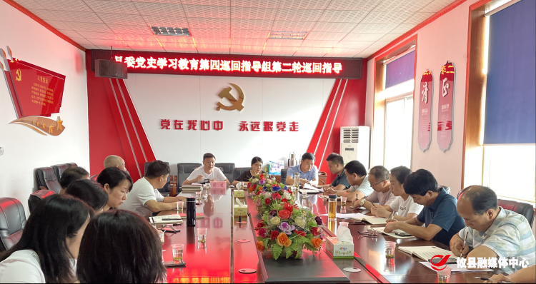 【学党史 开新局】县委党史学习教育第四巡回指导组到莲塘坳镇开展党史学习教育第二轮巡回指导