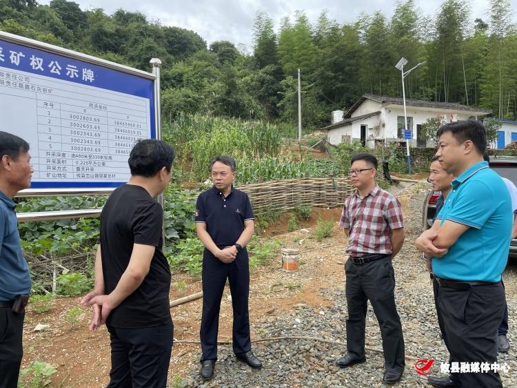 文斌到鸾山镇开展安全生产督导检查